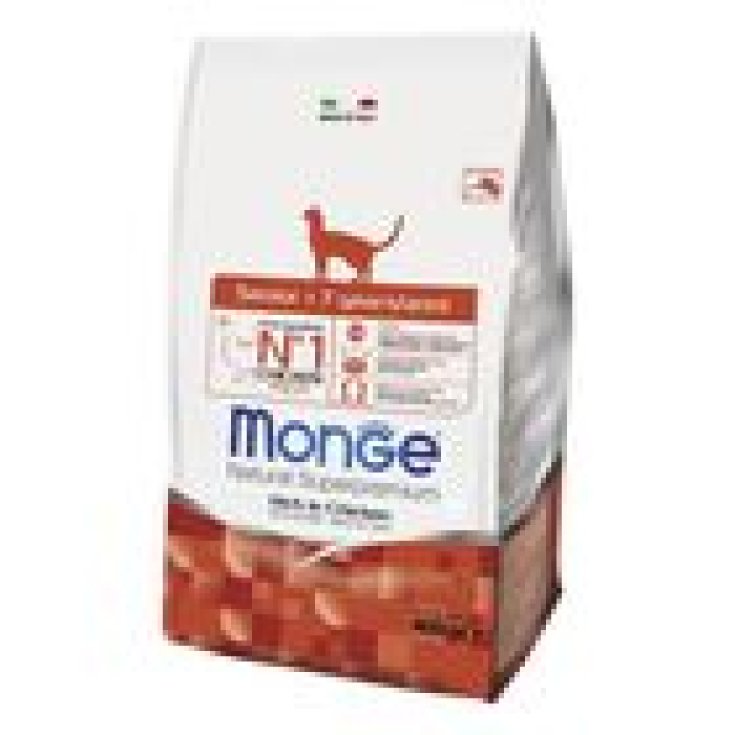 MONGE GATO SENIOR 400G