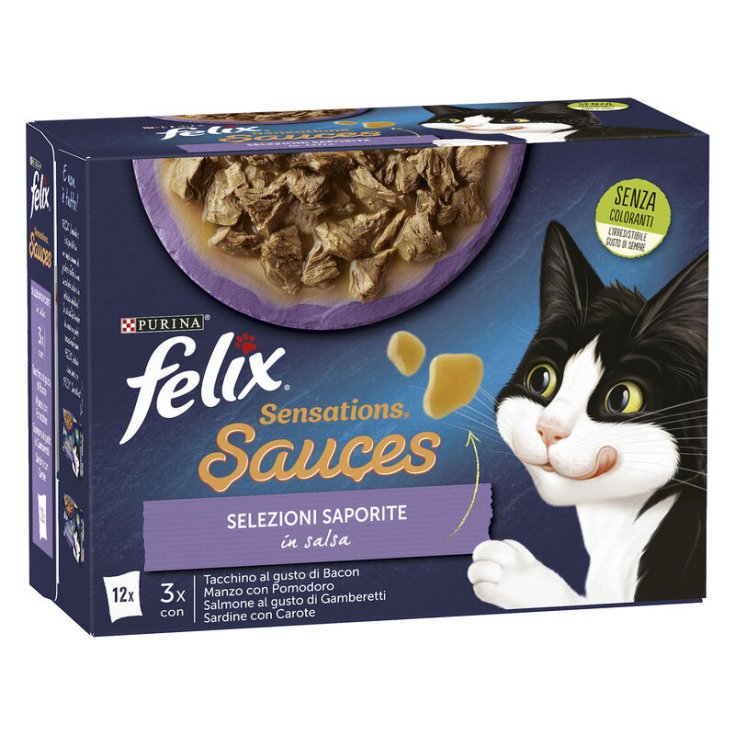 SALSAS FELIX SENSAT SABOR SEL