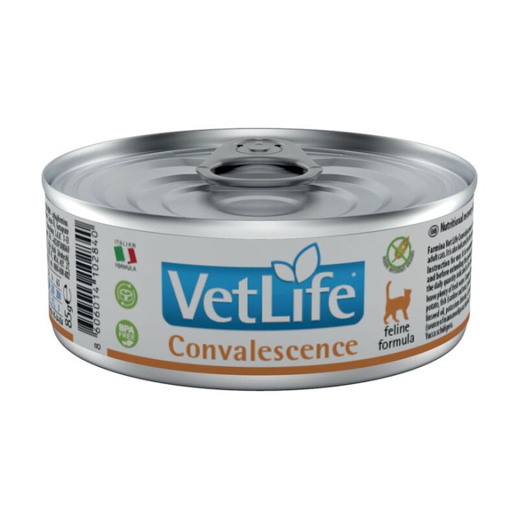 VET LIFE CAT CONVALESCENCIA 85G