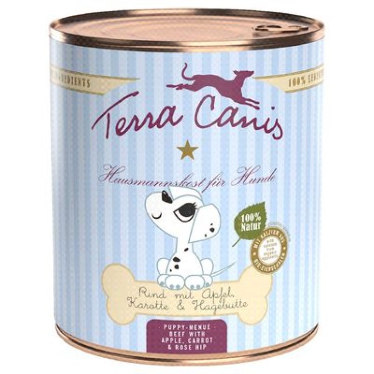 TERRA CANIS CACHORRO CARNE 400G