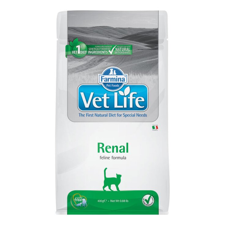 VET LIFE NAT FEL RENAL 400G