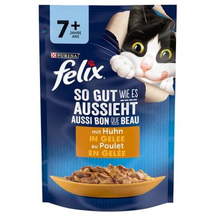 FELIX LE GHIOTT CONIG GELAT85G
