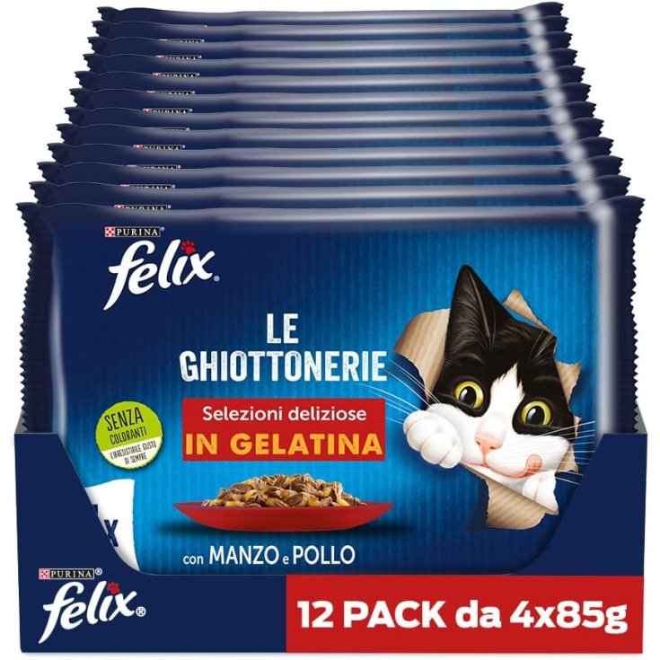 FELIX BST POLLO 85 GR