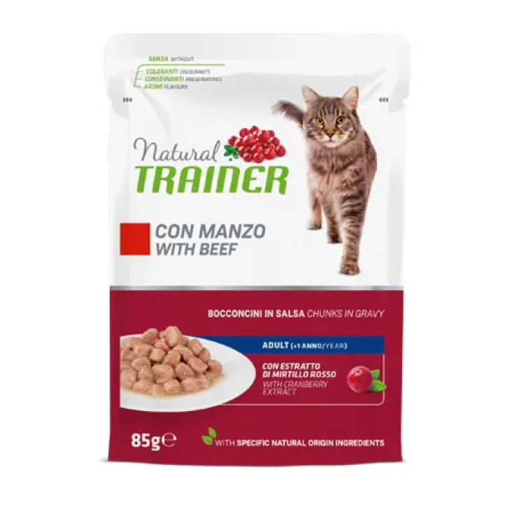 MANTENIMIENTO GATOS CON CARNE 85G