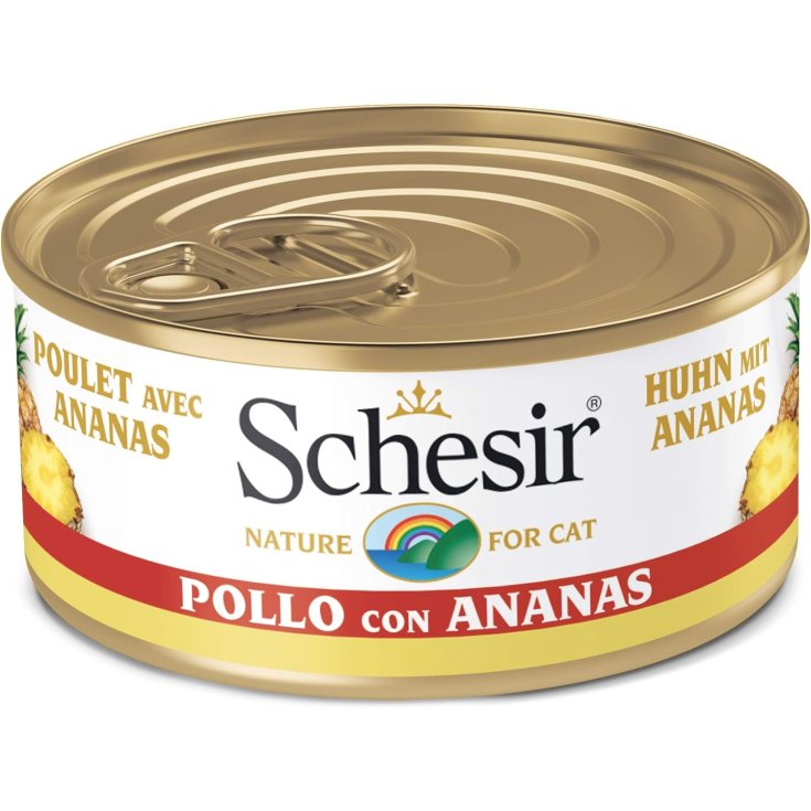 NATUA KITTEN JALEA DE PARGO DE ATÚN 85 GR