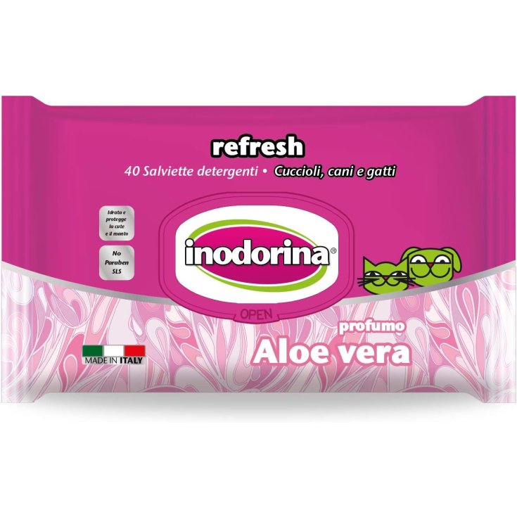 INODORINA TOALLITAS REF ALOE VERA 110UNDS