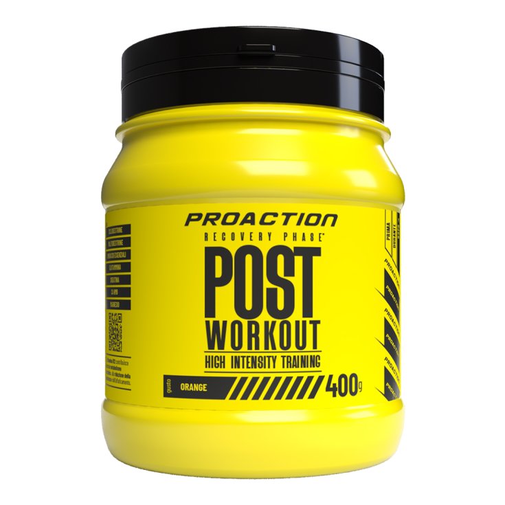 PROACTION FIT POST WORKOUT400G
