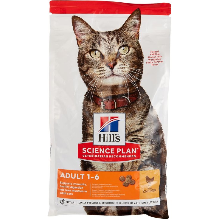 FELINO ADULTO EXCAVACIÓN PERF. POLLO 12X85 GR