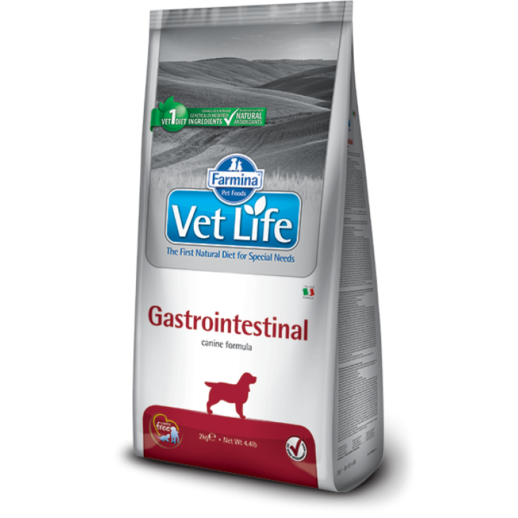 VET LIFE NAT FEL GASTRO INT2KG