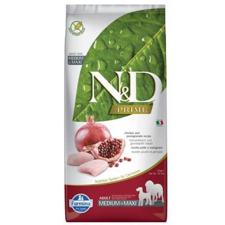 N&D AQUÍ PERRO S&C QC/CU AD M2.5