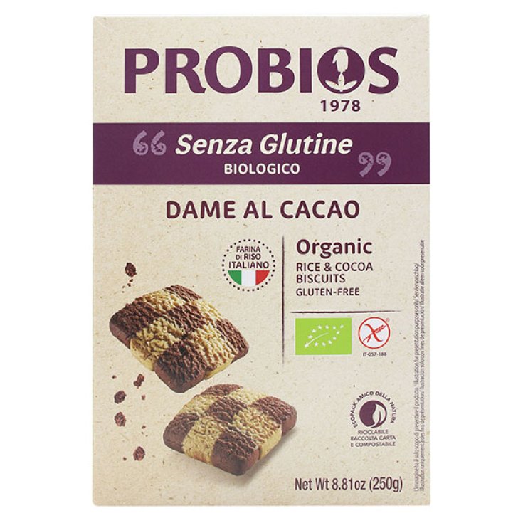 Arroz & Arroz Dama De Arroz Con Cacao Probios 250g