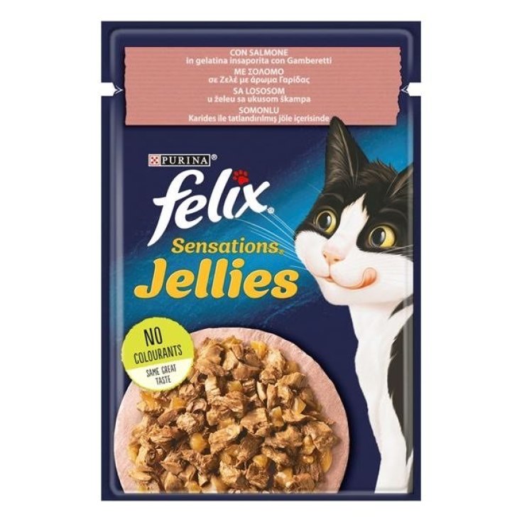 GAM GELAT DE SALMÓN FELIX SENSAT