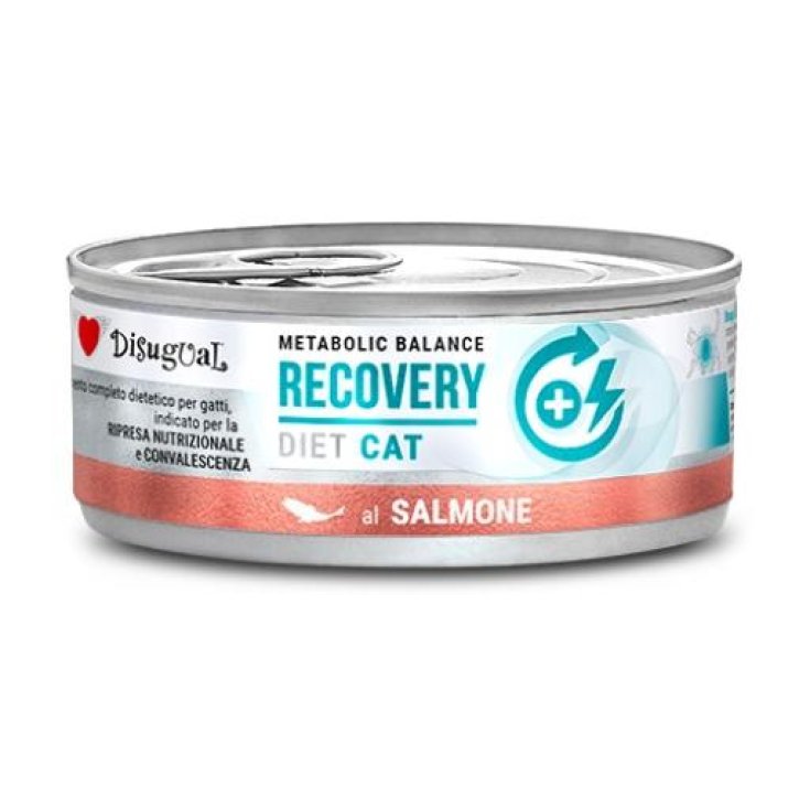 DISUGUAL GATO RECUPERACIÓN SALMÓN 85G
