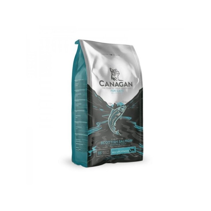 SALMA SCOTT DE GATO CANAGAN 375G