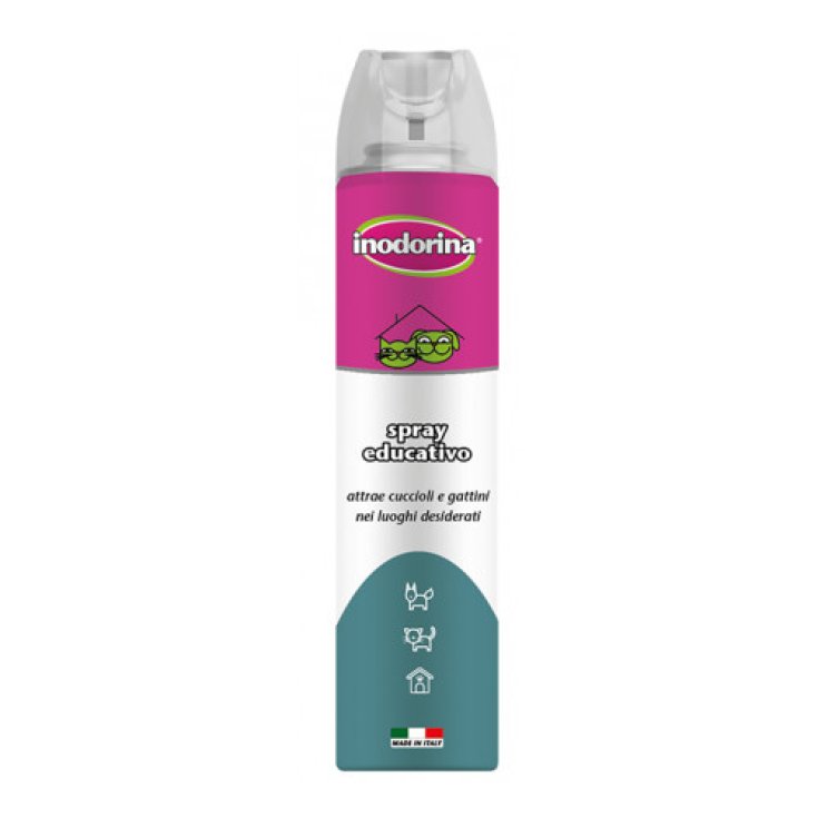 INODORINA ATRAER EDUCAT 300ML