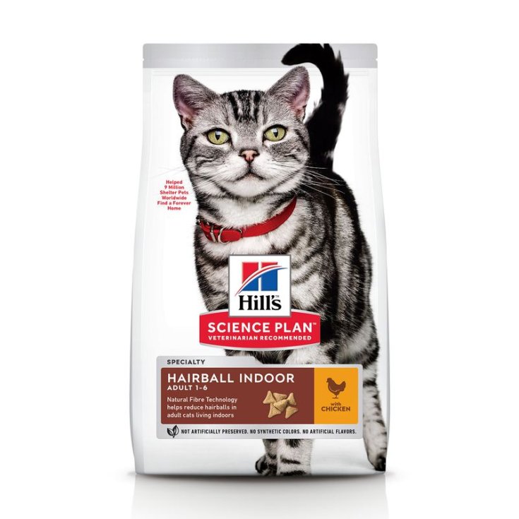 NT CAT SP PELO POLLO 0,3KG