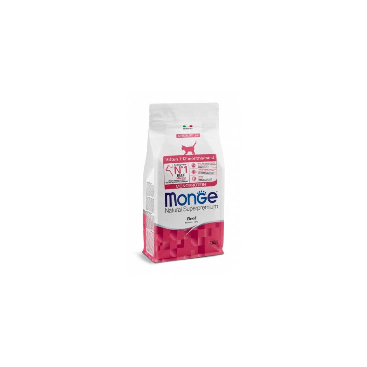 KIT MONGE 1-12M CARNE 400G