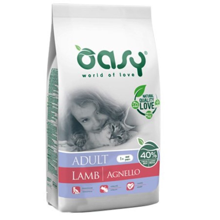 OASY GATO SECO CON CORDERO 300G