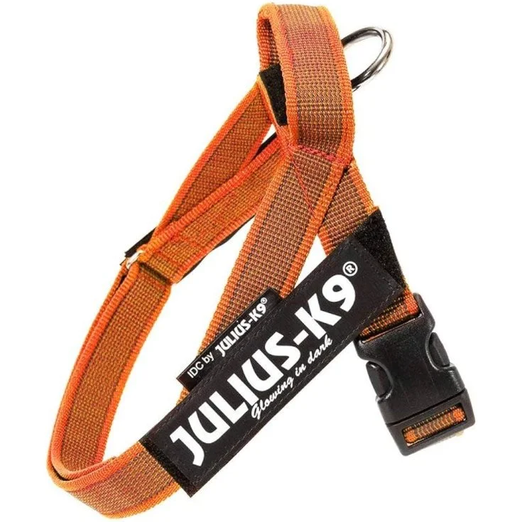 "GIMDOG BAM HUESOS DE POLLO 7"" - 17.8CM"