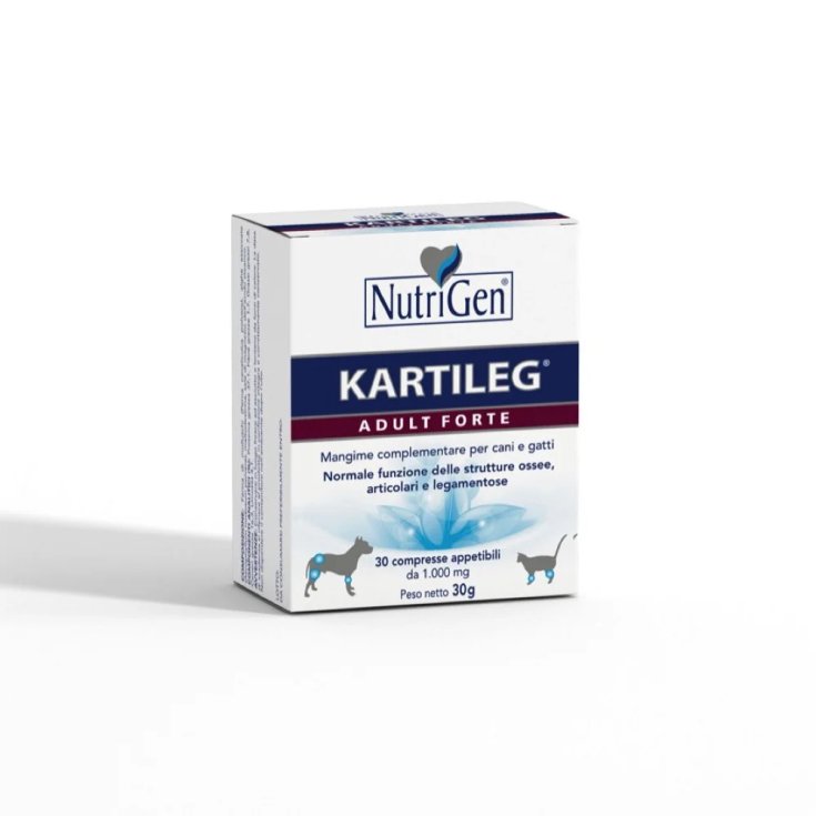 KARTILEG ADULTO FORTE NutriGen 120 Comprimidos