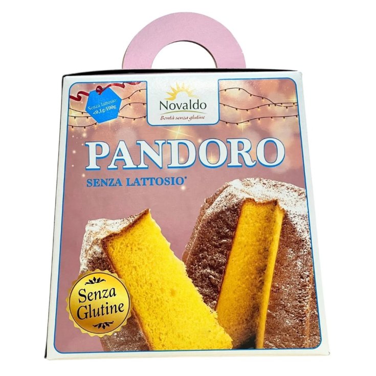 NOVALDO PANDORO CLASSICO 500G