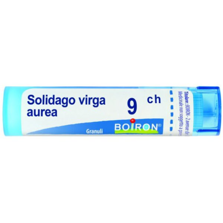 Boiron Solidago Virga Aurea 9ch Granulado Remedio Homeopático