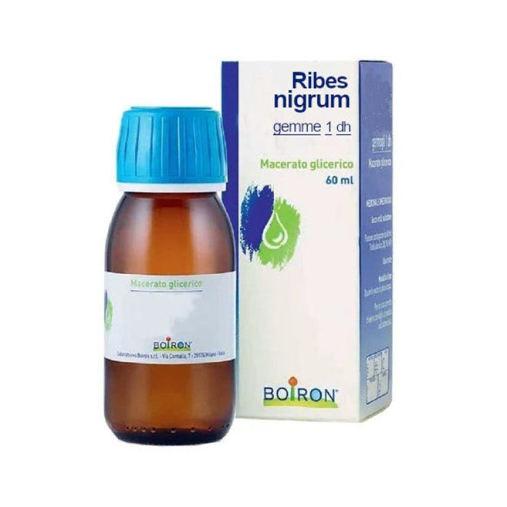 Boiron Ribes Nigrum Glicerina Macerado Gemas 60ml