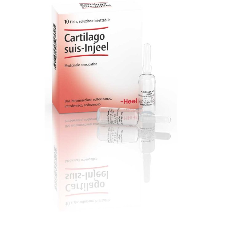 Cartilago Suis-Injeel Heel 10 Viales De 1,1ml