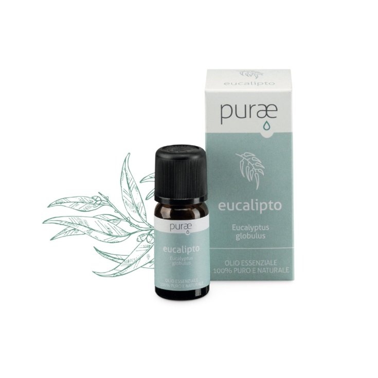 Purae Oe Hoja de Eucalipto 10ml