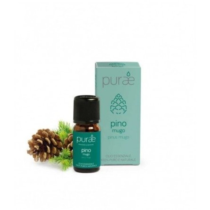 Purae Oe Hoja de Pino de Montaña 10ml