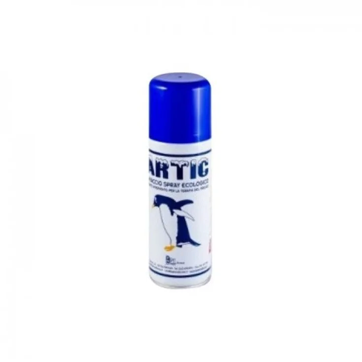 Artic Gh Istant Spr 200ml