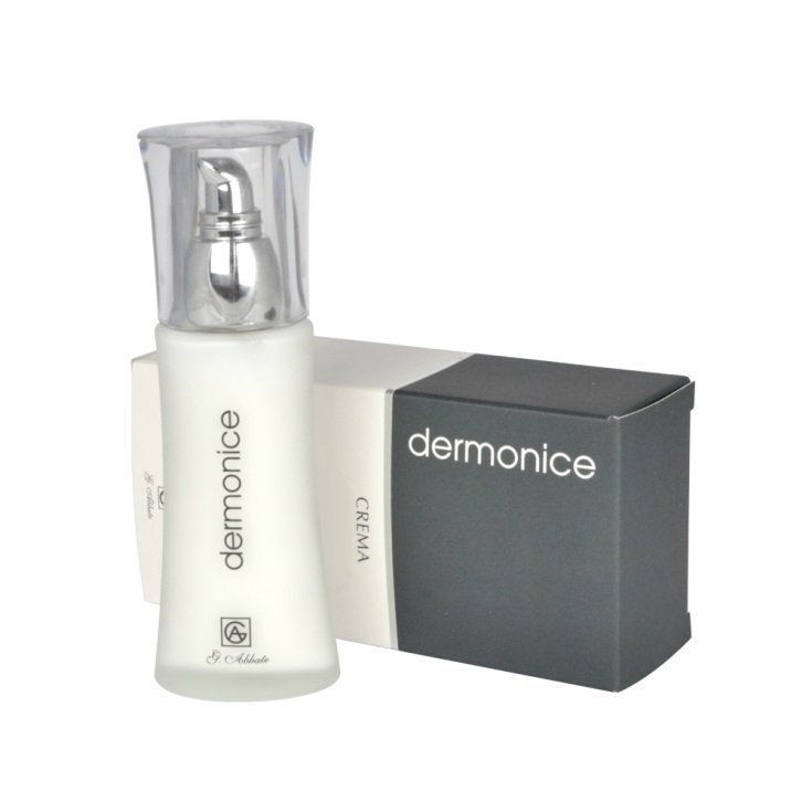 Dermonice Crema Hidratante 24h