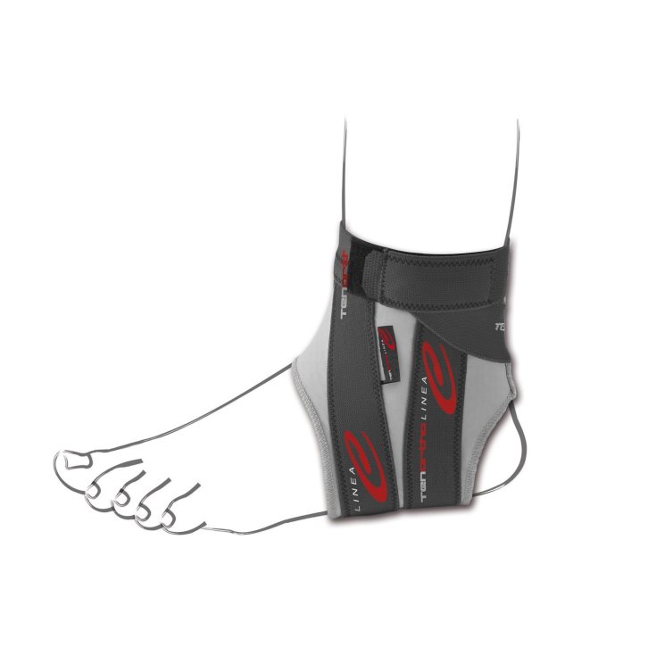 C Tobillo Tobillo El S