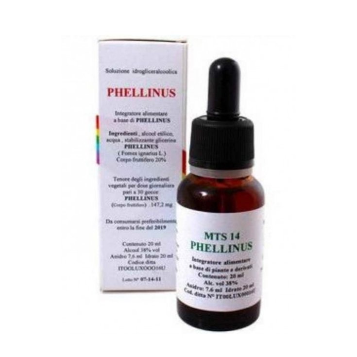 Mts14 Phellinus Gotas 20ml