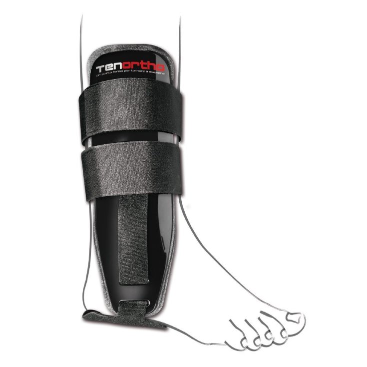 Thunder Plus Tutor Bivalvo Cav