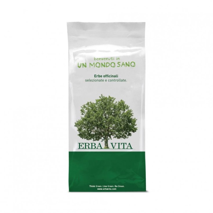 ErbaVita Tisana La Bancha Tostada Acción Antioxidante 100g