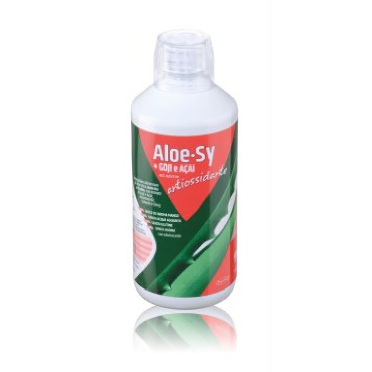 Aloe Sy + Goji Y Açai Con Acción Antioxidante Complemento Alimenticio 1lt