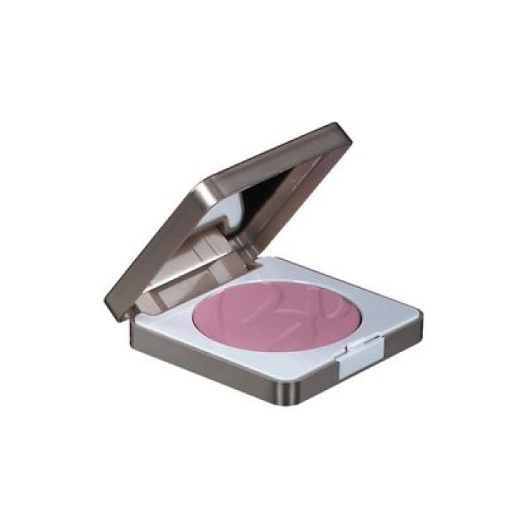 Defensa Color Pretty Touch 304 BioNike 5g