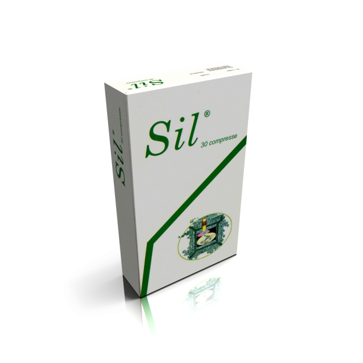 Silimarina + Vitamina E 450g