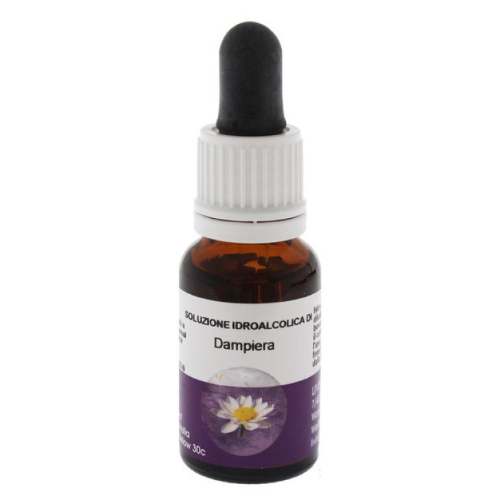 Natur Dampiera Esencia Australiana 15ml