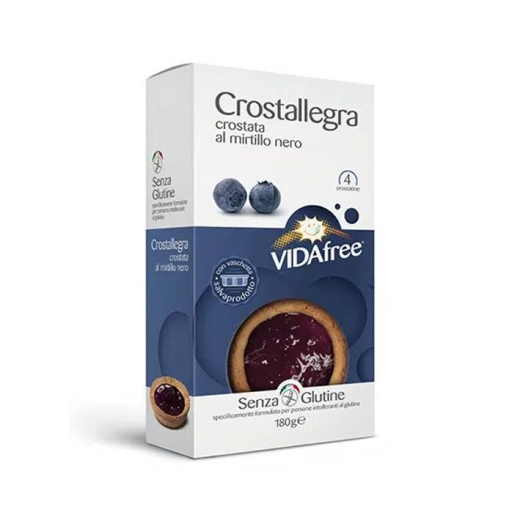 VidaFree Crostallegra Arándano Sin Gluten 180g