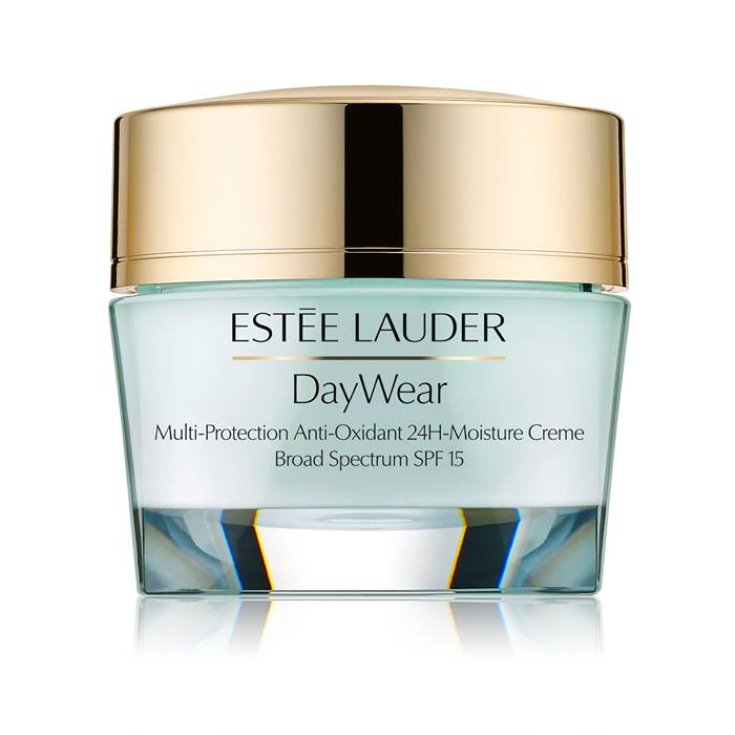EL DAY WEAR PLUS SPF 15 PNM 50ML