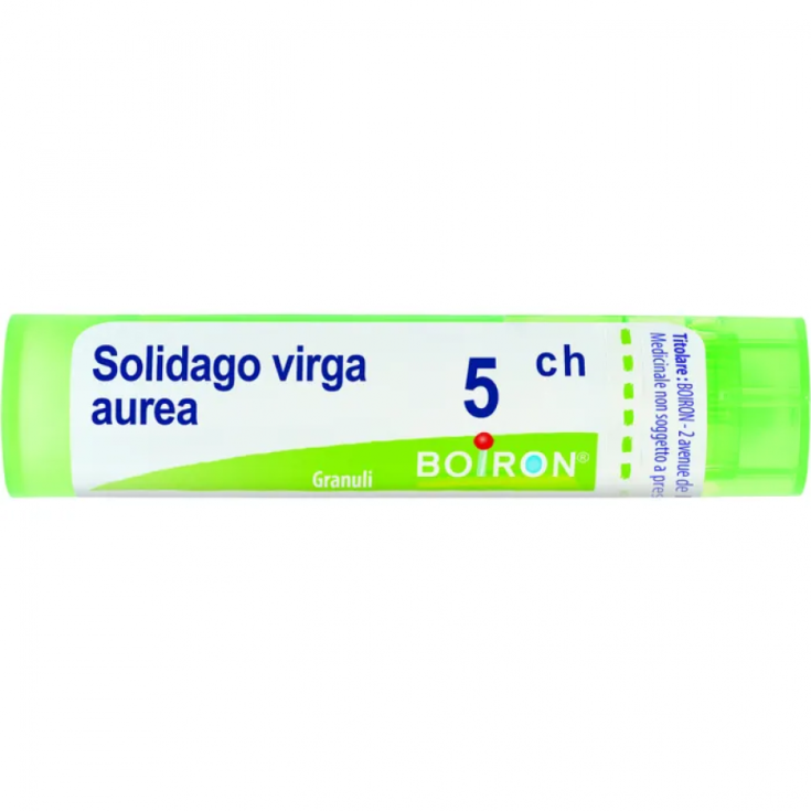 Solidago Virga Aurea 5ch Boiron Granulado 4g