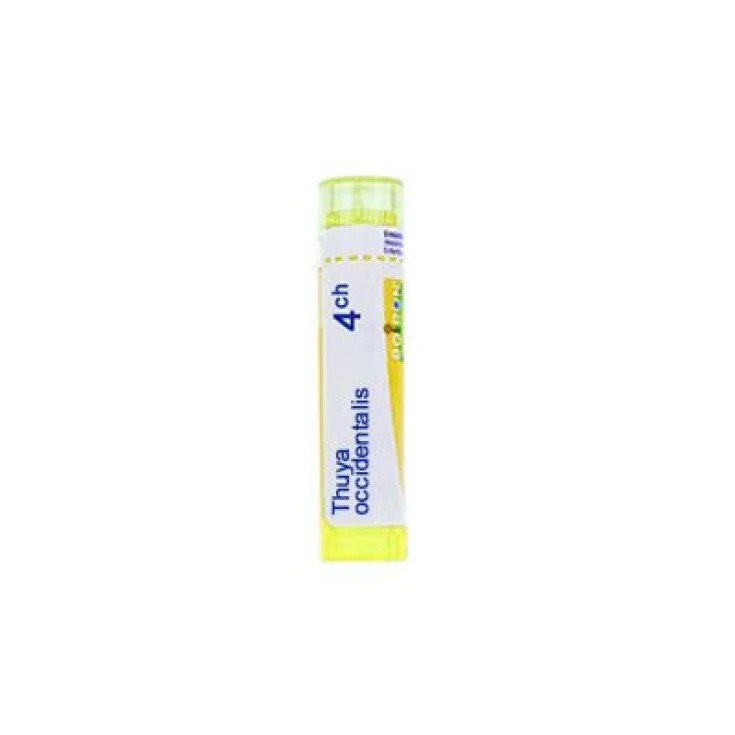 Laboratoires Boiron Thuya Occidentalis 4ch Remedio Homeopático En Gránulos