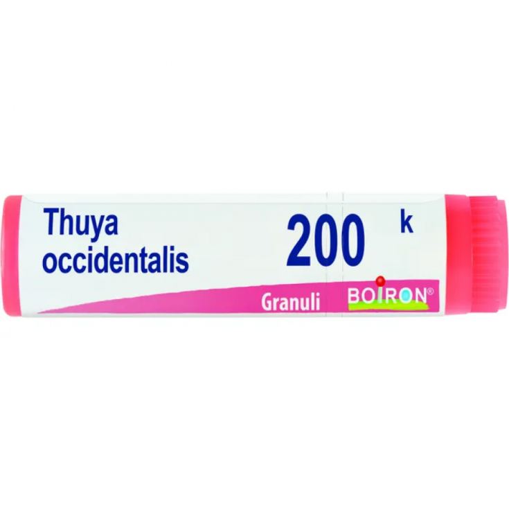 Thuya Occidentalis 200 k Boiron Granulado 4g