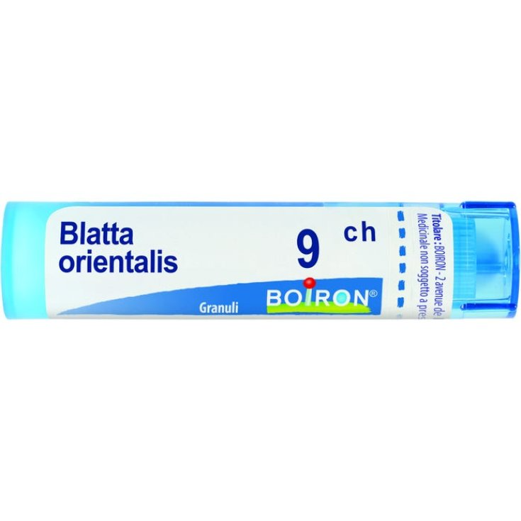 Cucaracha Orientalis 9ch Boiron Granulado 4g