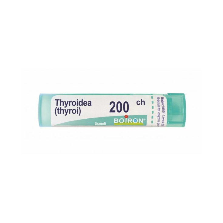 Thyroidinum 200 ch Boiron Granulado 4g