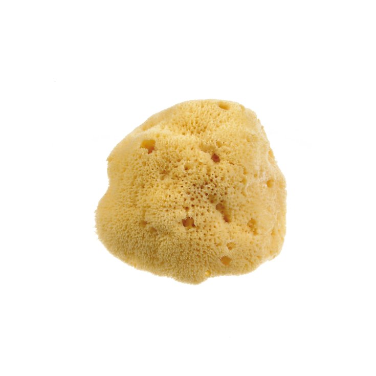 Esponja Natural Beautytime Mediana