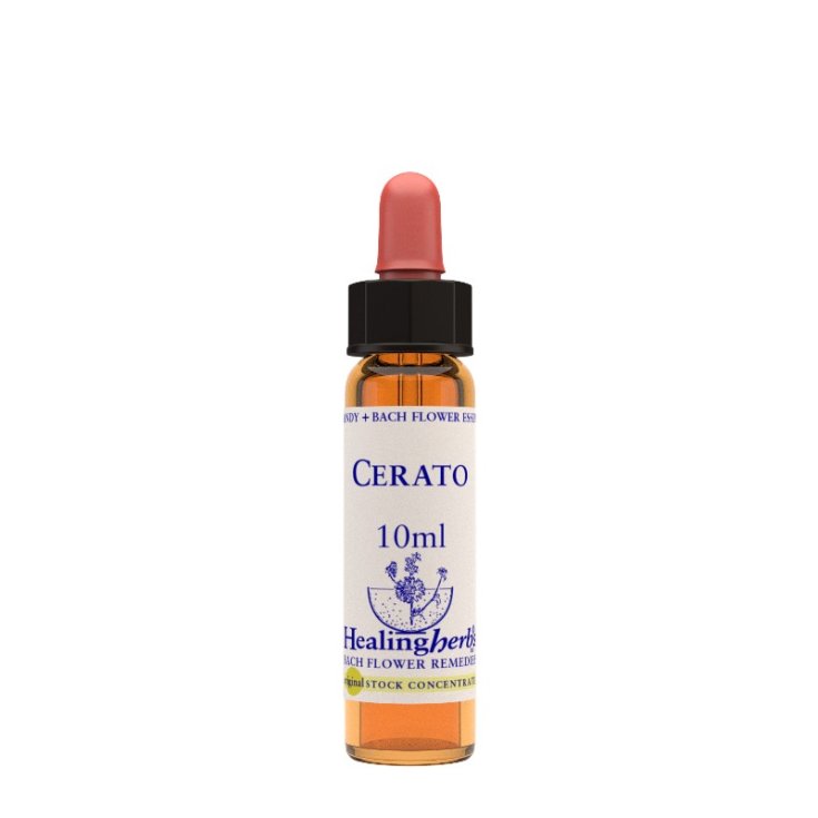 Natur Cerato Esencia Floral 10ml