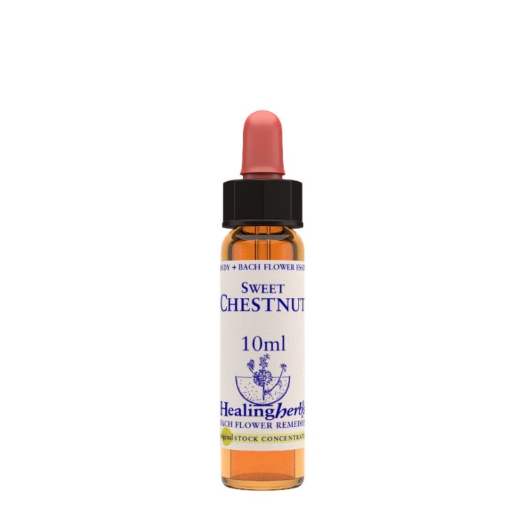 Esencia de Castaña Dulce Natur 10ml